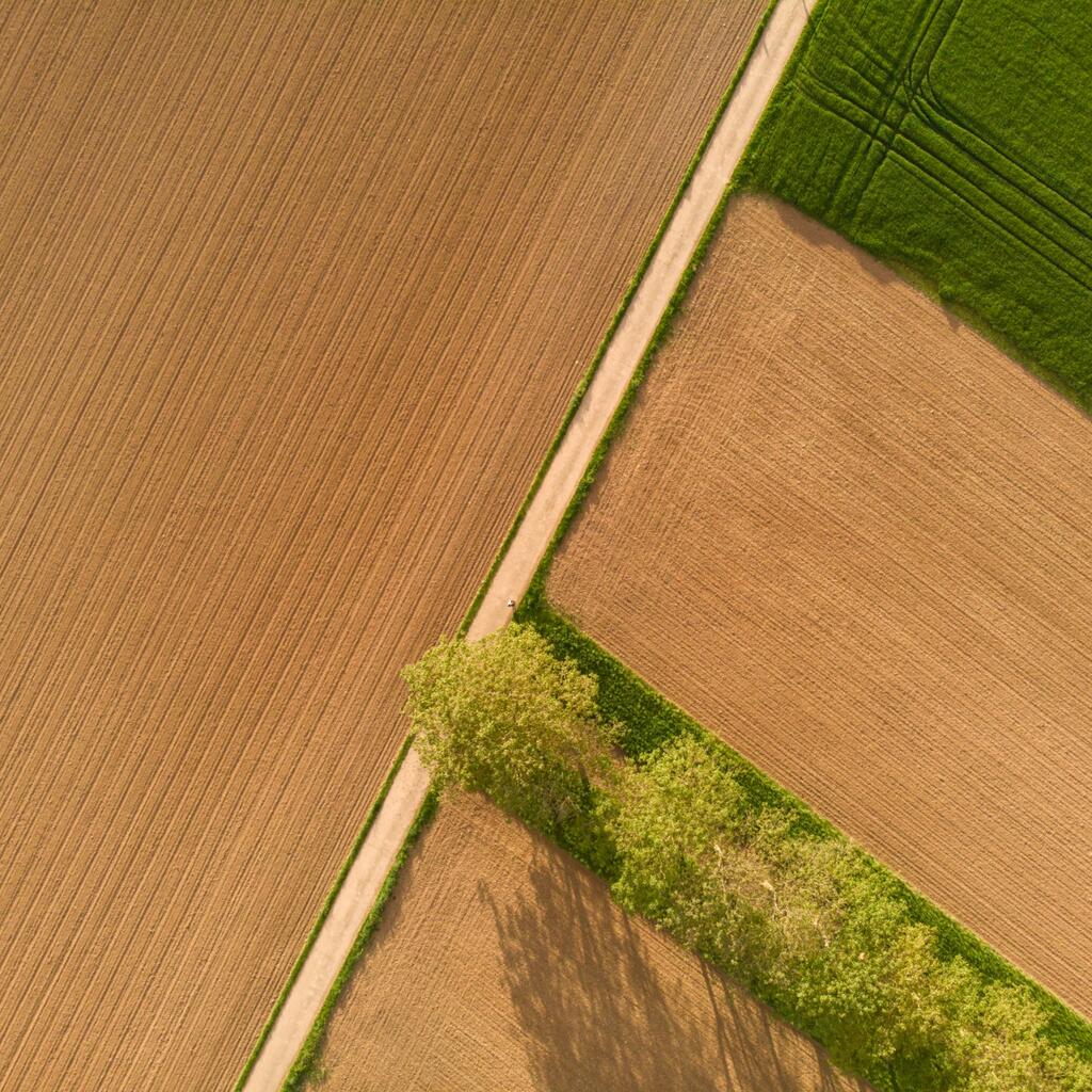 Beyond FarmAI: Algeria’s Agritech Startup Scene in Oran, Constantine, and Tlemcen