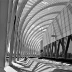 The Domain Translator Gap: Tech’s Most Asymmetric Career Opportunity