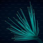 The Web Is Forking: How AI Agents Are Creating a Parallel Internet