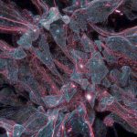 AI and the Future of Work: What’s Really Happening to Jobs in 2026