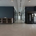 Algeria-UN Digital Partnership: What It Means for the Tech Ecosystem